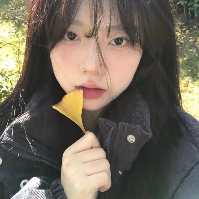 9号秘事第四季